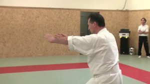 Ryu kyu Kobujutsu Moudi Hubert laenen