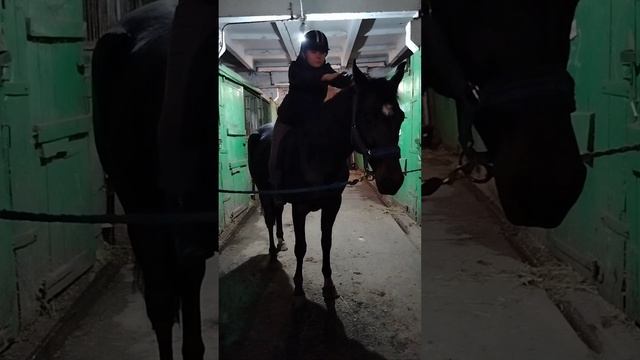 Практика 3.mp4