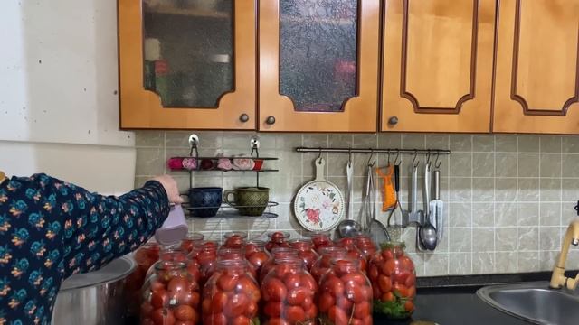 Посолила помидоры | приготовила перед поездкой вкусный обед