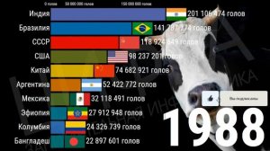 ТОП-10 стран мира по количеству рогатого скота (1961-2019) [ИНФОГРАФИКА]