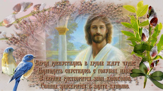 Без названия смотреть онлайн