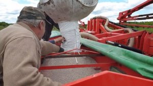 посев подсолнечника, какой гибрид и удобрения лучше