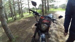 Обзор Racer Panther 250cc