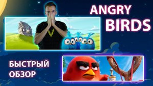 ANGRY BIRDS VR | Краткий обзор игры