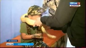 Астраханцы увидели новую цирковую программу на воде