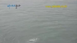 Корейская рыбалка