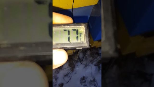 Температура под крышей и в летке под клубом смотреть онлайн