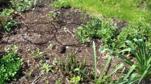 В гостях у Ольги ФЕО!