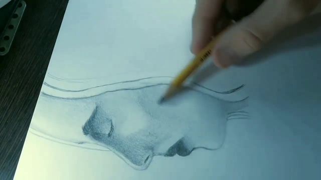 ПОРТРЕТ ДЕВУШКИ ПРОФИЛЬ смотреть онлайн