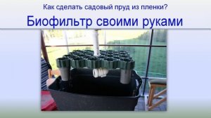 Пруд в саду 7: Биофильтр для пруда своими руками