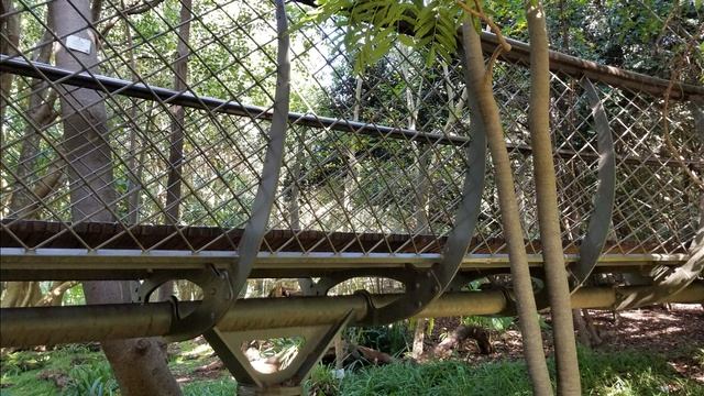 Kirstenbosch Botanical Gardens: No. 7 World's Most Beautiful Botanical Gardens смотреть онлайн