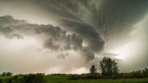 Не из тучушки ветерочки дуют