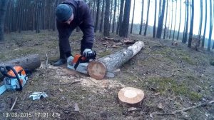 Stihl ms 211 vs ms 230 vs ms 231`Test