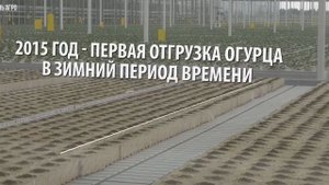 Современные теплицы в Нариманово