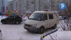 Сколько животных можно держать в одной квартире