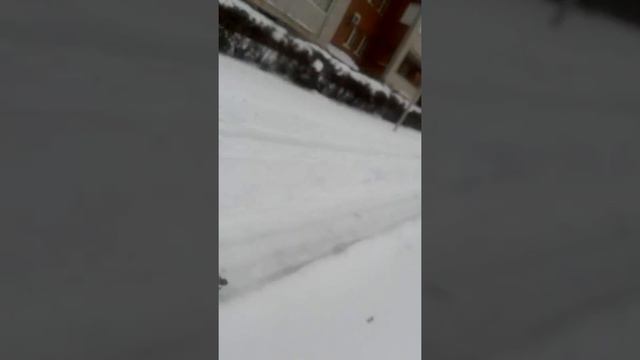 ВЕЛИК ЗИМОЙ