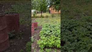 дом в Калининградской области 
НА ПРОДАЖЕ