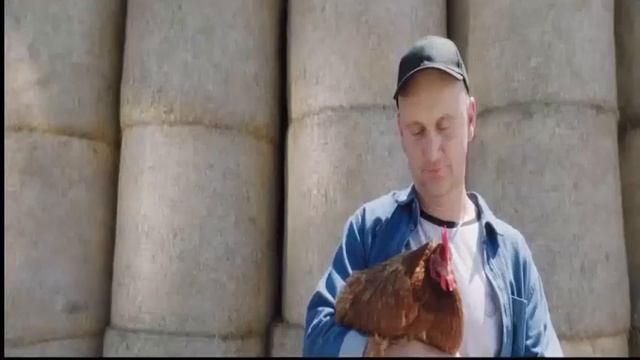 Польские Дожинки (Обжинки)- Polskie Dożynki.  Праздник урожая