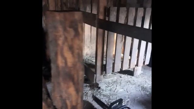 Свинарник работа над ошибками