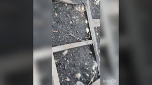 Поиск чермета.