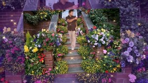 Красивая песня ! Андрей Рубежов " Анютины глазки"