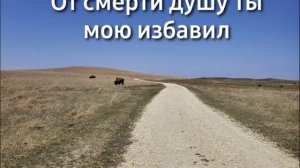 От смерти душу Ты мою избавил. Тебе хвала моя не перестанет! Христианская песня.