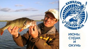 Ловля окуня и судака на спиннинг в июне. Календарь Спиннингиста