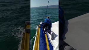 Путешествие на парусном катамаране Сибкат 21М вокруг Капчагая.