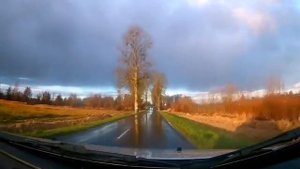 Гриша Заречный - 8-е чудо