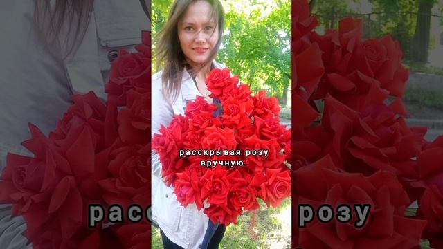 Букет алых роз. #цветыназаказ
