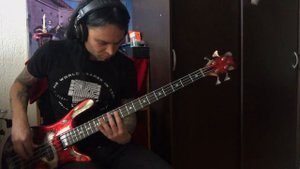 Annodomini - Пыль и пепел (Bass Playthrough)
