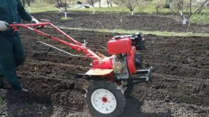 Посадка картошки под МОТОБЛОК!