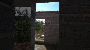 Залили армопояс" Строим однаэтажный дом 8*9 из наших арболитовых блоков, Арболит ВН 89646906865.