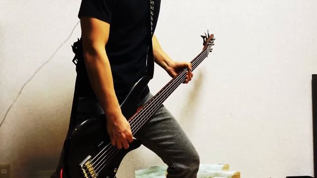 Asking Alexandria - Dear Insanity || Bass Cover смотреть онлайн