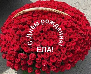 С Днём рождения, Ëла!