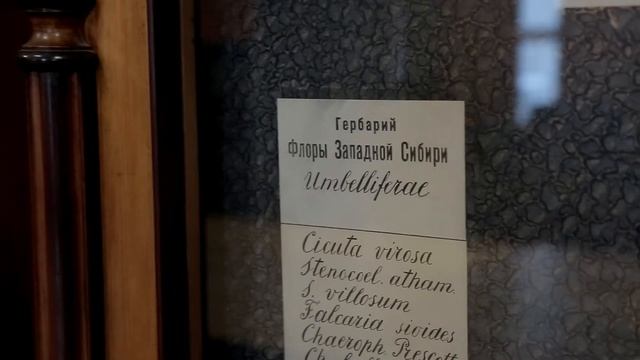 Музеи и библиотека Императорского Томского университета