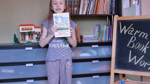 Отзыв о книге 