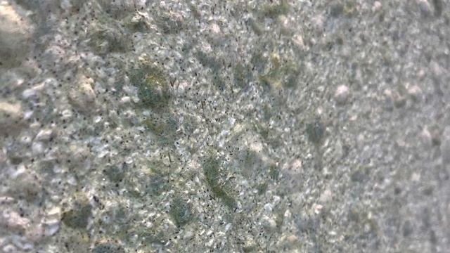 Жидкие обои Виктория 715 в Нижнем Новгороде на Маршала Казакова 5 смотреть онлайн