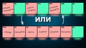 Как лучше тренироваться каждый день по одной группе мышц или 3 раза в неделю по две