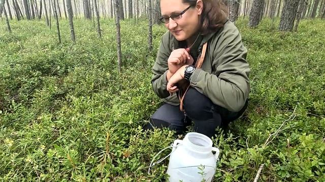 Морошка 2023 смотреть онлайн