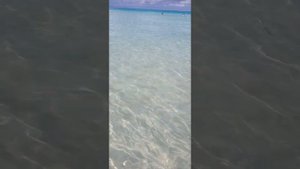 обзор пляжа, океана Варадеро, BARCELO SOLYMAR, Куба