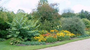 Проект вертикальной планировки