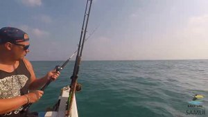 Морская рыбалка на Самуи на малом катере на весь день.