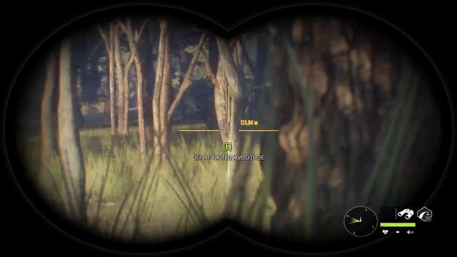 TheHunter Call of the Wild ОХОТА на БУЙВОЛОВ # 200 смотреть онлайн