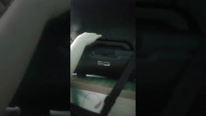 обзор колонки dexp p520