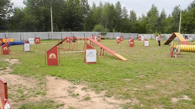 Арда, аджилити