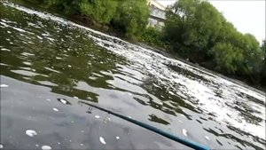 ЩУКА  НА ИЖОРЕ