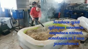 Как вырастить грибы? Еринги, вешенка, Степной белый гриб, шитаки