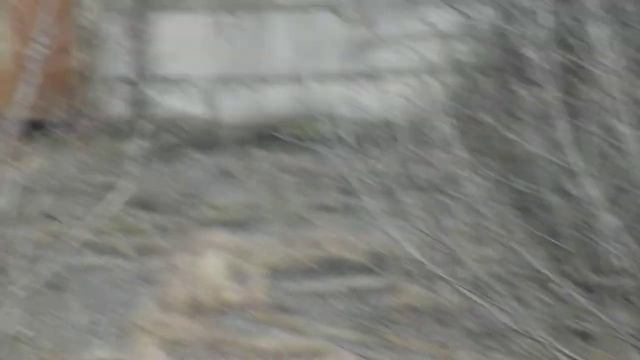 Fujifilm Finepix S4500. Пример видео смотреть онлайн