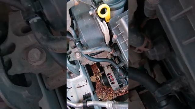 Посторонний свист под капотом Skoda Octavia смотреть онлайн